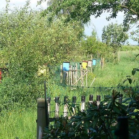 Ferienwohnung Immengarten